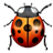 beetle.png