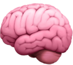 brain.png